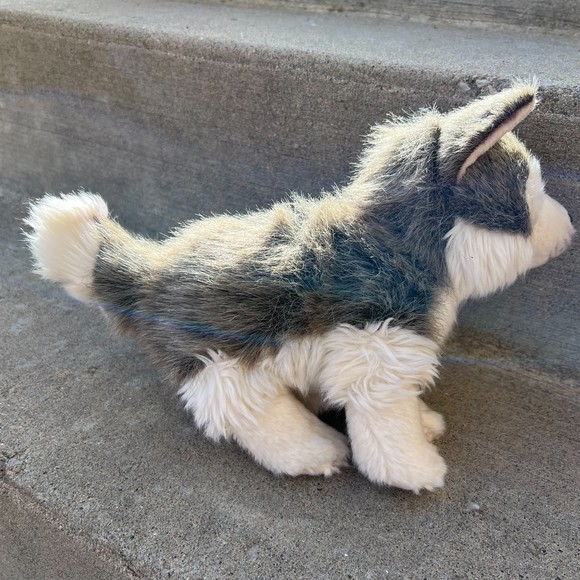 Nat and Jules Husky Wolf Dog - Picture 3 of 4